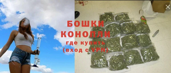 apvp Бородино