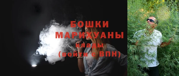 apvp Бородино
