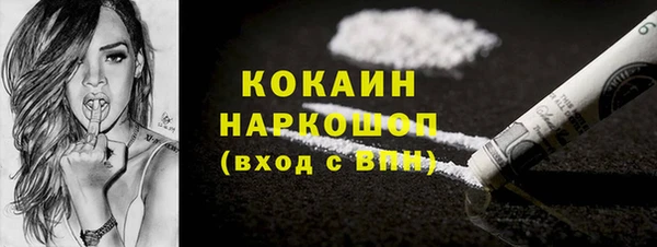 apvp Бородино