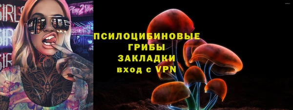 apvp Бородино