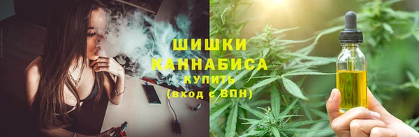 индика Бугульма