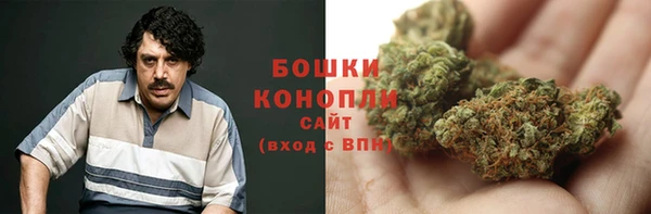 apvp Бородино