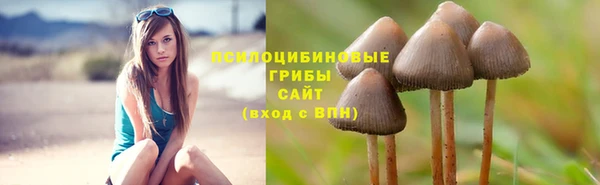 apvp Бородино