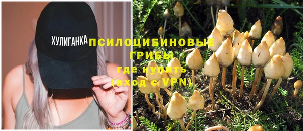 apvp Бородино