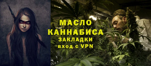 индика Бугульма