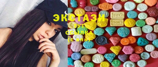 индика Бугульма
