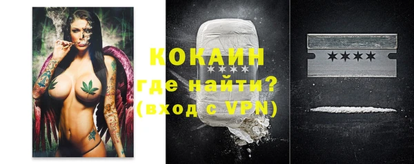 apvp Бородино