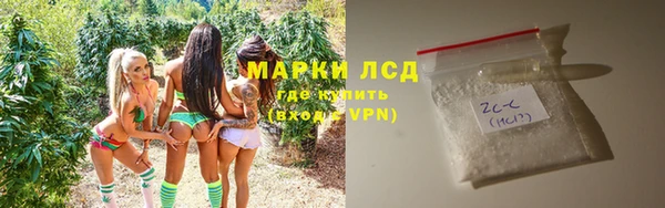 apvp Бородино