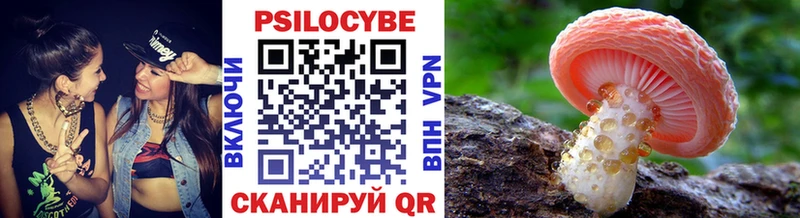 Псилоцибиновые грибы Psilocybe  Тула 